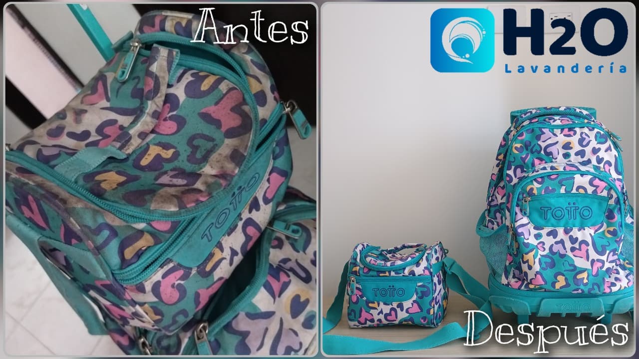 Lavado de Bolsos y Maletines